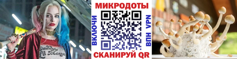 продажа наркотиков  Малая Вишера  Псилоцибиновые грибы Magic Shrooms 